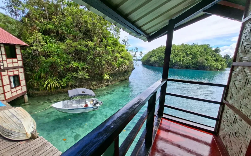 view from the balcony